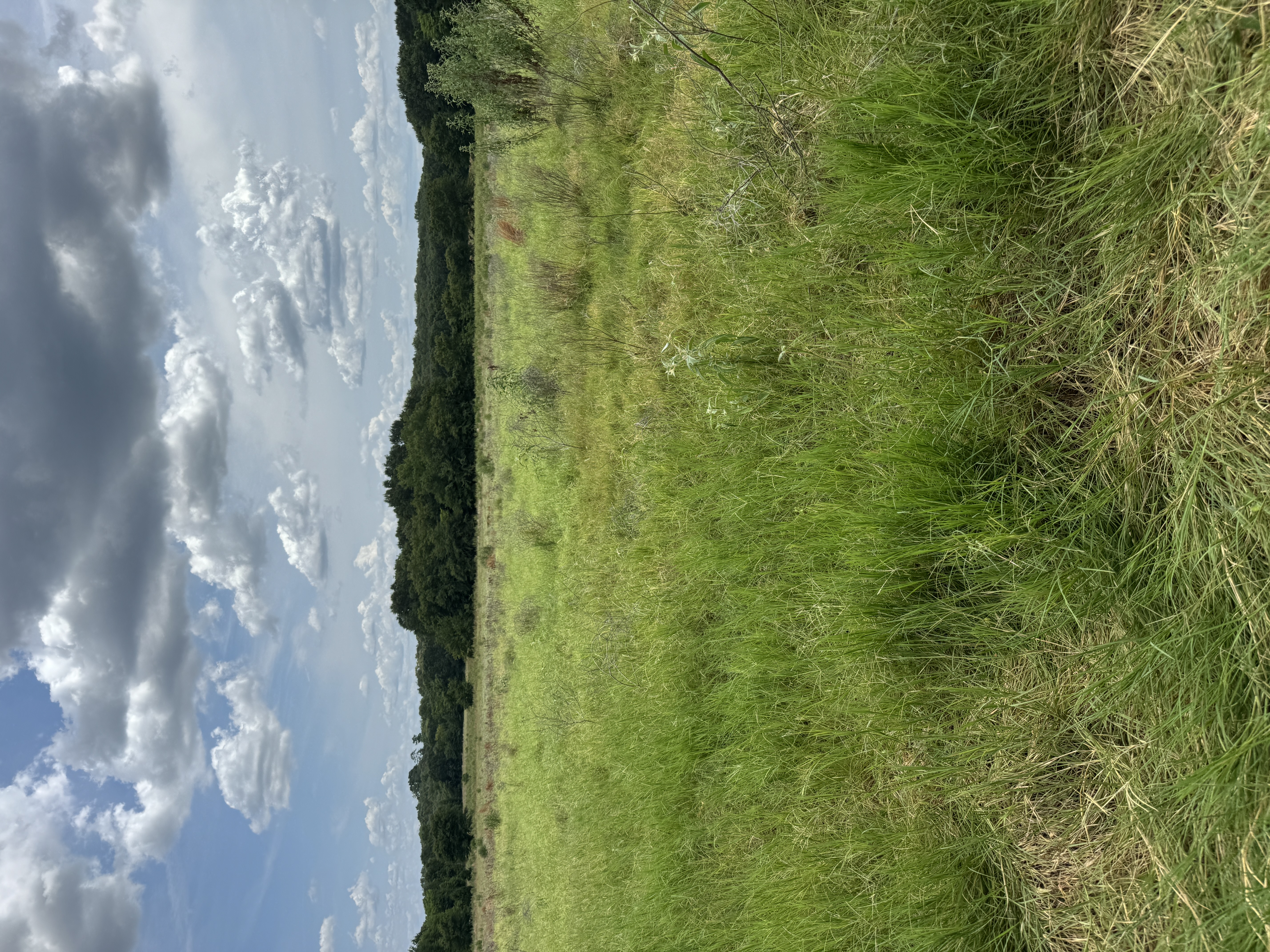 Canton open land