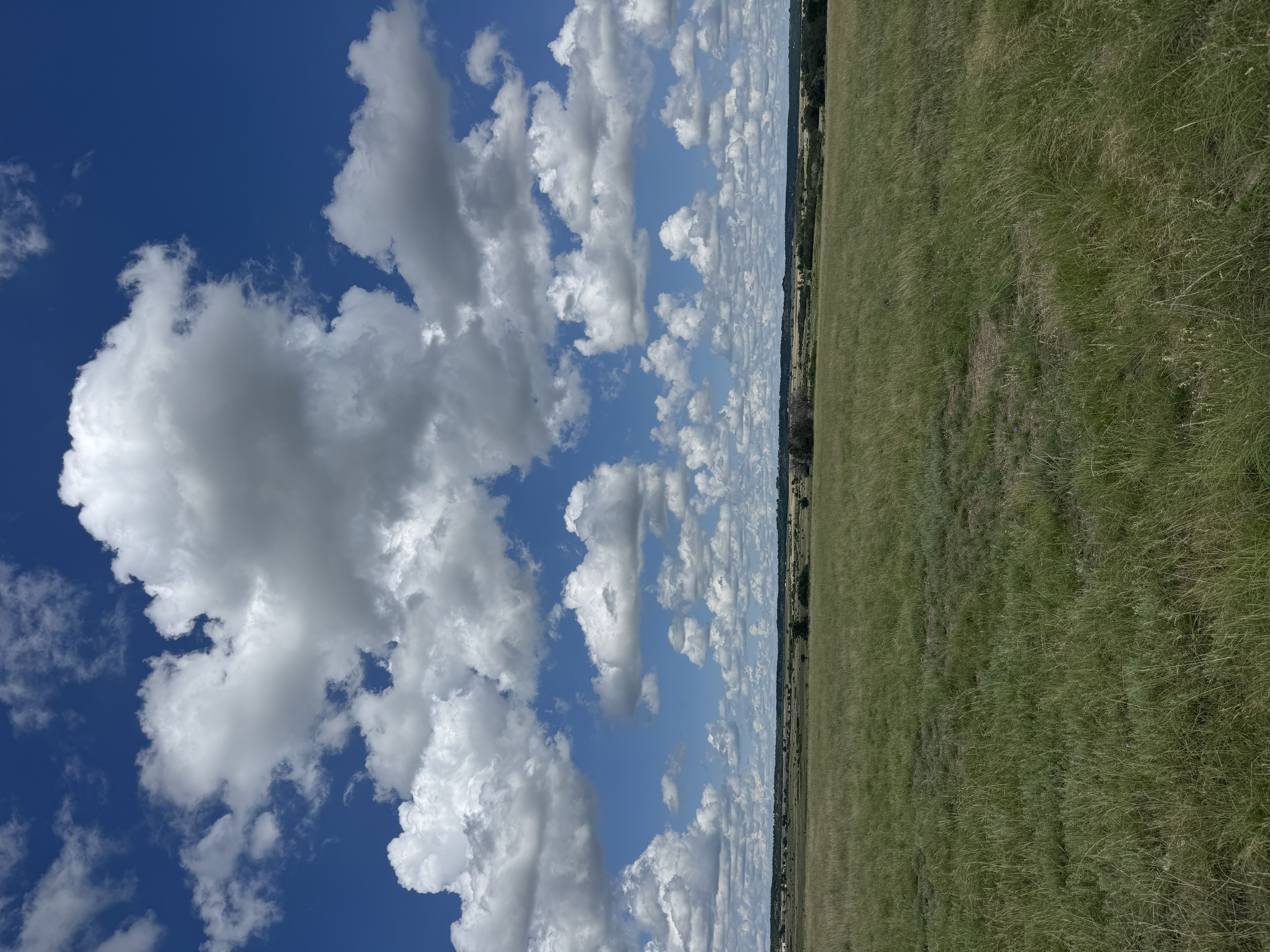 Glen Rose Texas land