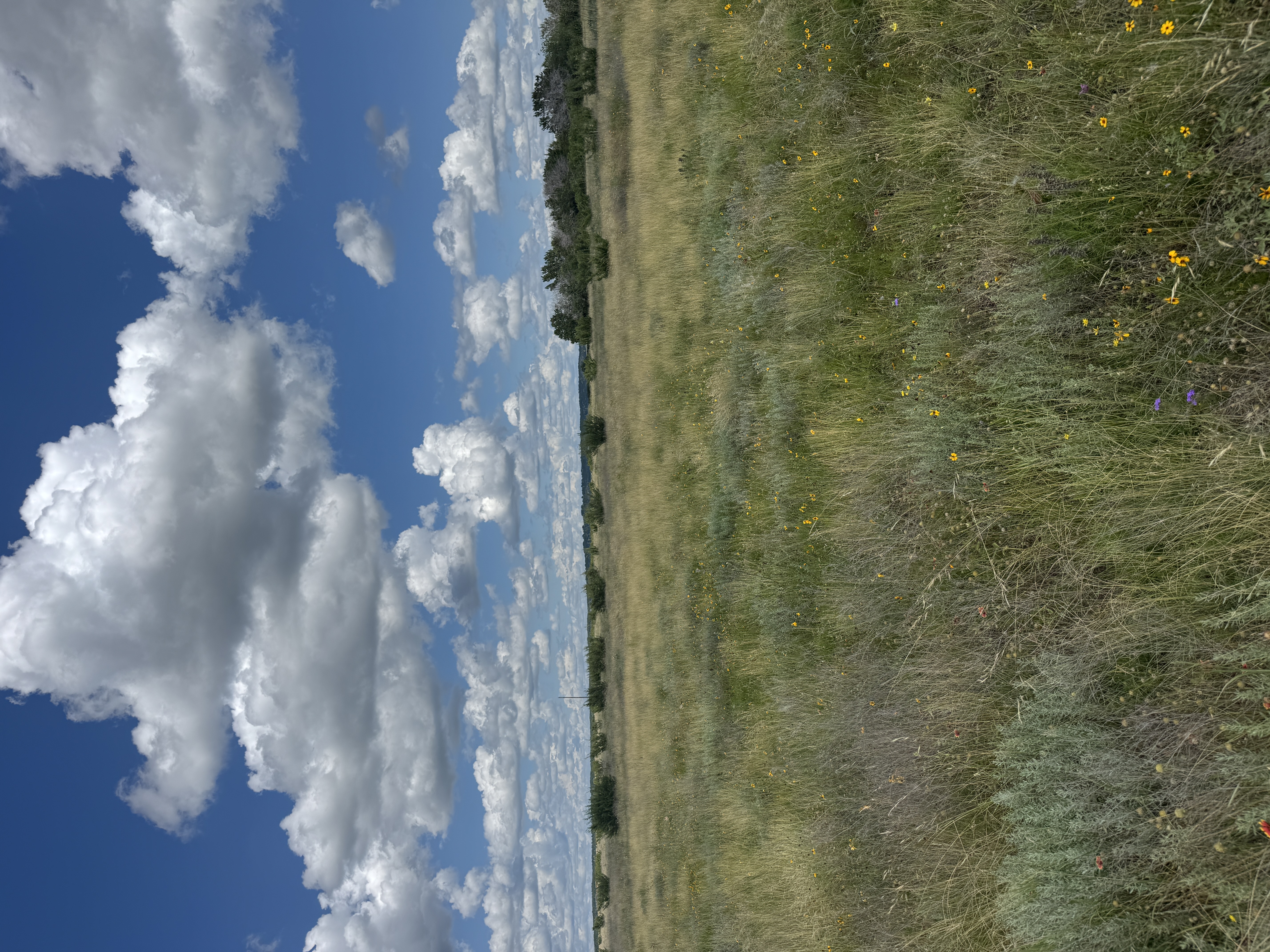 Glen Rose photo 2